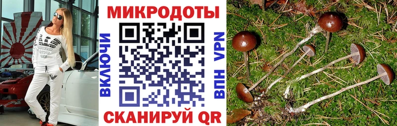 Галлюциногенные грибы мухоморы Вельск