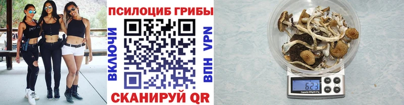как найти наркотики маркетплейс клад Псилоцибиновые грибы мухоморы Вельск